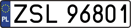ZSL96801