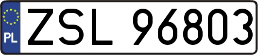 ZSL96803