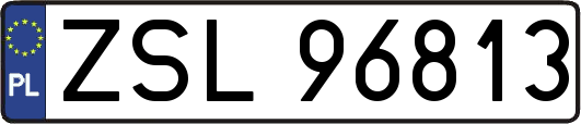 ZSL96813