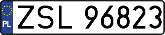 ZSL96823