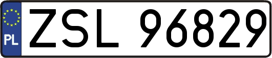 ZSL96829