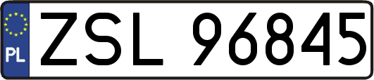 ZSL96845