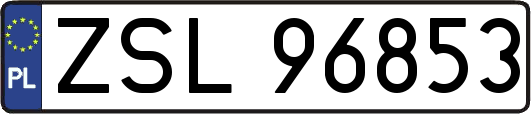 ZSL96853