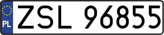 ZSL96855
