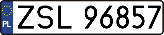 ZSL96857