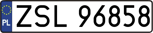 ZSL96858