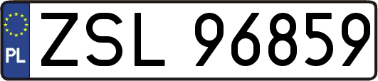 ZSL96859