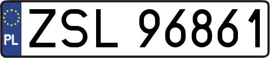 ZSL96861