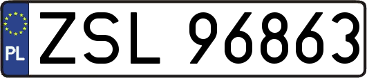 ZSL96863