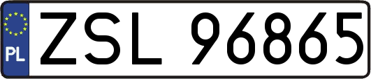 ZSL96865