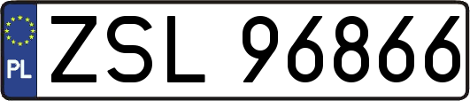 ZSL96866