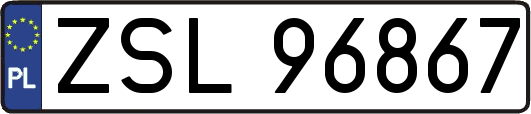 ZSL96867
