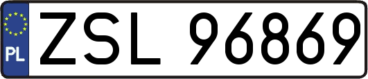 ZSL96869