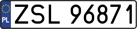 ZSL96871