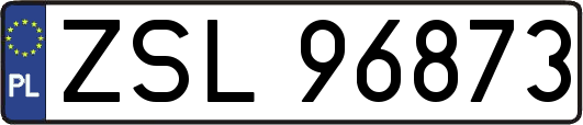 ZSL96873