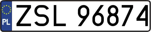 ZSL96874