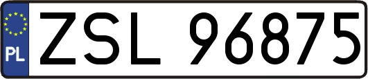 ZSL96875