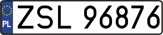 ZSL96876