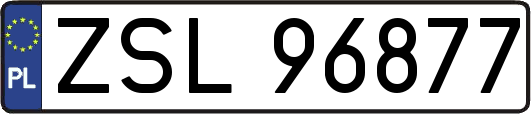 ZSL96877