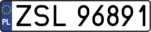 ZSL96891