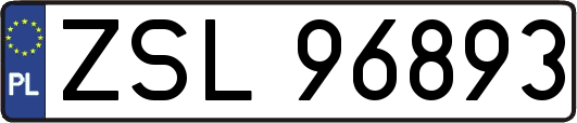 ZSL96893