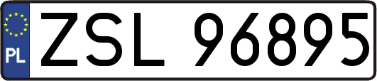 ZSL96895
