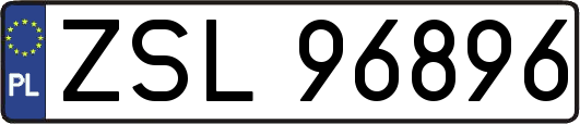 ZSL96896