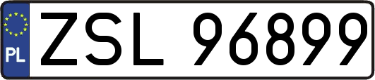 ZSL96899