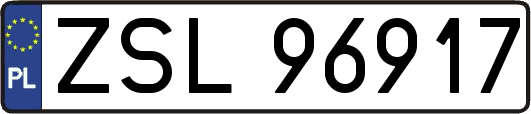 ZSL96917