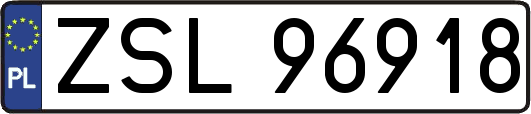 ZSL96918