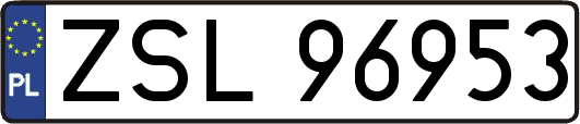 ZSL96953