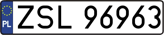 ZSL96963