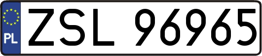 ZSL96965