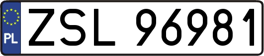 ZSL96981