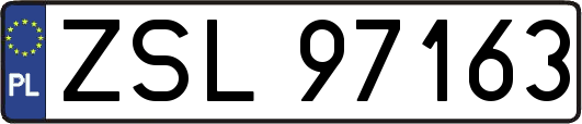 ZSL97163