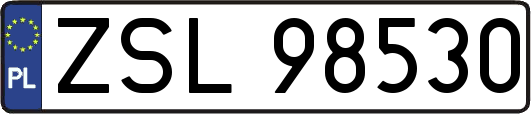 ZSL98530