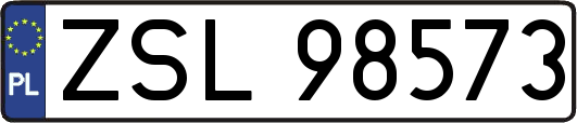 ZSL98573