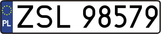 ZSL98579