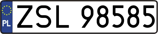 ZSL98585