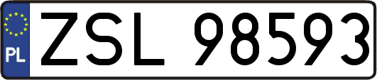 ZSL98593