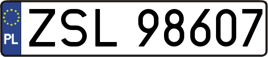 ZSL98607