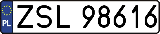 ZSL98616