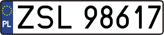 ZSL98617