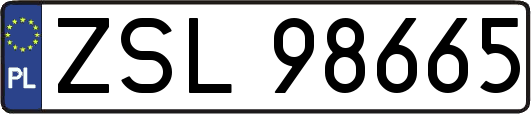 ZSL98665