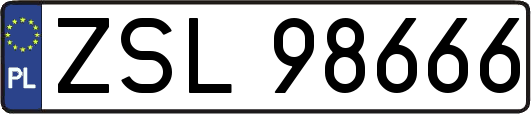 ZSL98666