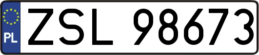 ZSL98673