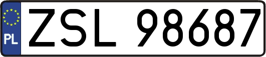 ZSL98687