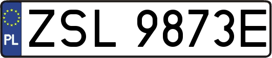 ZSL9873E