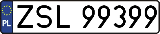ZSL99399