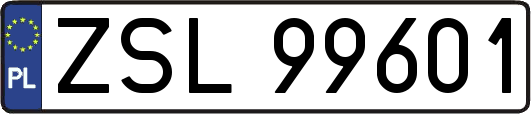 ZSL99601